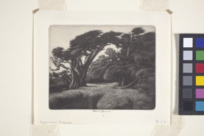 Cortador de relva Cypress Bower (mezzotint) de Ernest Haskell