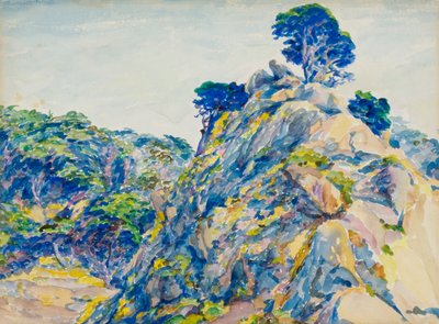 Ponto Lobos de Ernest Haskell