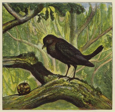 Melro e caracol de Ernest Henry Griset