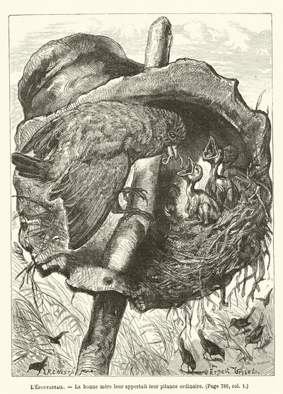 A amada, A boa mãe trouxe-lhes a sua ninharia ordinária de Ernest Henry Griset
