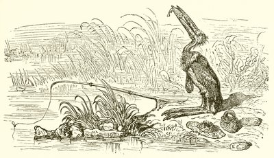 O pescador e o peixinho de Ernest Henry Griset