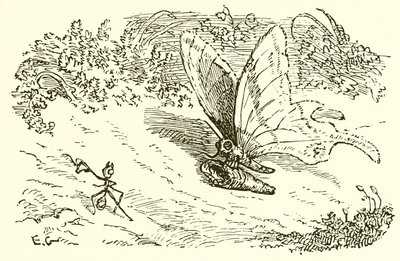 A formiga e a crisálida de Ernest Henry Griset