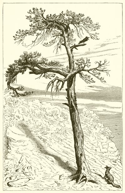 A raposa e a tripulação de Ernest Henry Griset