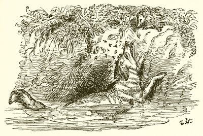 A raposa e o ouriço de Ernest Henry Griset