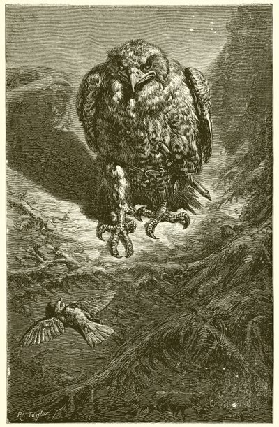 O falcão e o rouxinol de Ernest Henry Griset