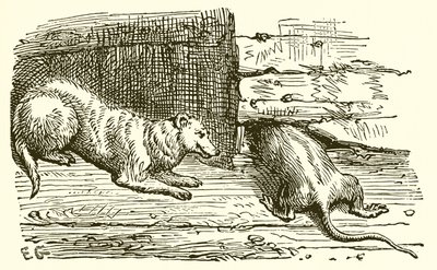 O rato e a doninha de Ernest Henry Griset
