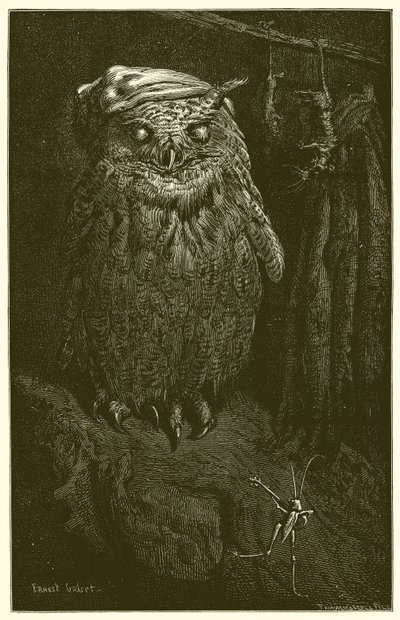 A coruja e o gafanhoto de Ernest Henry Griset