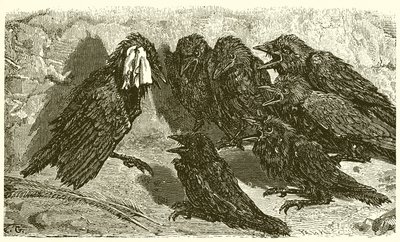 The Jackaw Vain de Ernest Henry Griset