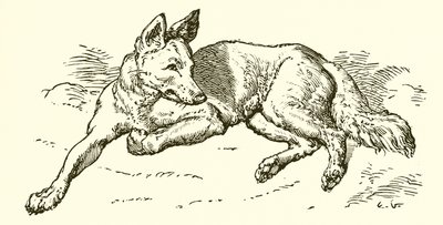 O lobo em pele de ovelha de Ernest Henry Griset