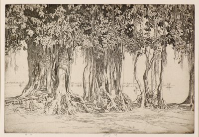 A árvore Banyan de Ernest Stephen Lumsden