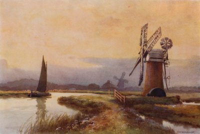 Moinhos de Drenagem na Formiga (cor litho) de Ernest William Haslehust