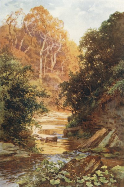 Hayburn Wyke (lito colorido) de Ernest William Haslehust