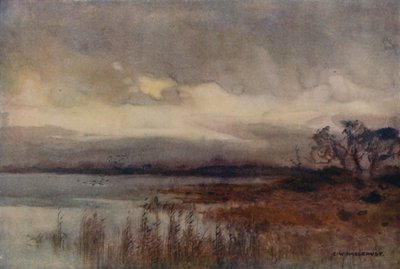 Hickling Broad (cor litho) de Ernest William Haslehust