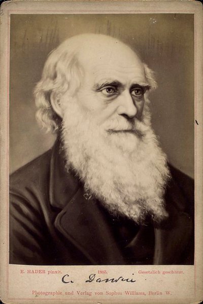 Charles Darwin, naturalista britânico, c1860s-c1870s de Ernst Hader