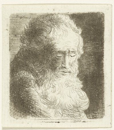 Velho de barba virada para baixo: três quartos, para a direita de Ernst Willem Jan Bagelaar