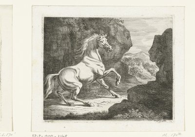 Garanhão branco saltitante de Ernst Willem Jan Bagelaar