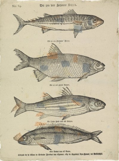 Estes são quatro lindos peixes (título sobre o objecto) de Erven de Weduwe Jacobus van Egmont