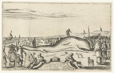 Baleia encalhada na praia de Noordwijk, 1614 de Esaias van de Velde
