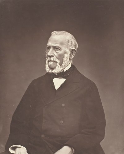 Henrique Martin, c. 1876. de Etienne Carjat