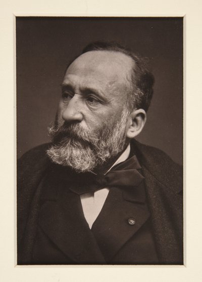 Retrato de Pierre Puvis de Chavannes (1824-1898) de Etienne Carjat