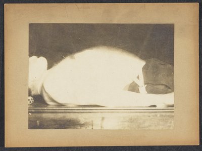 Marey em um estudo de respiração de Etienne Jules Marey