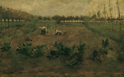 Fieldwork de Eugen Jettel