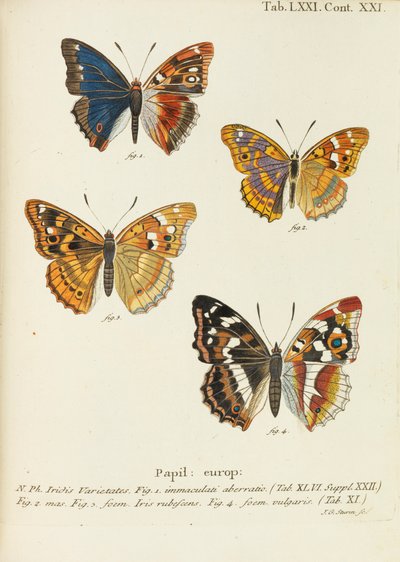 As borboletas As borboletas, 1777-1794. de Eugen Johann Christoph Esper