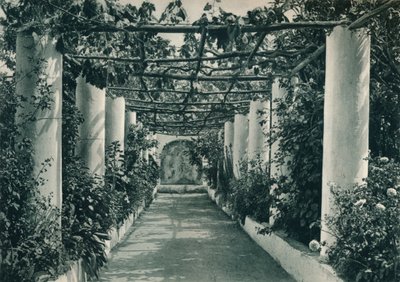 Pérgola em um vinhedo, Capri, Itália, 1927 de Eugen Poppel