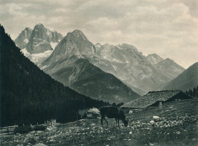 Vista do grupo Brenta com pastagem alpina, Madonna di Campiglio, Dolomitas, Itália, 1927 de Eugen Poppel