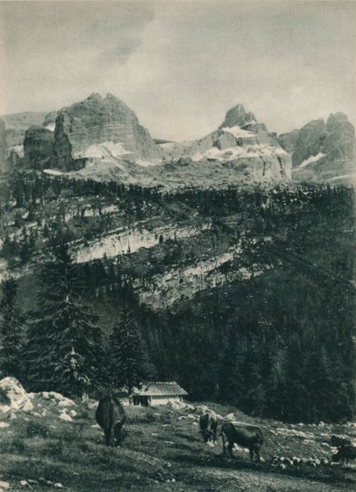 Vista do grupo Brenta com pastagem alpina, Madonna di Campiglio, Dolomitas, Itália, 1927 de Eugen Poppel