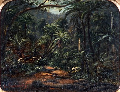 Ferntree Gully na cordilheira Dandenong de Eugen von Guerard