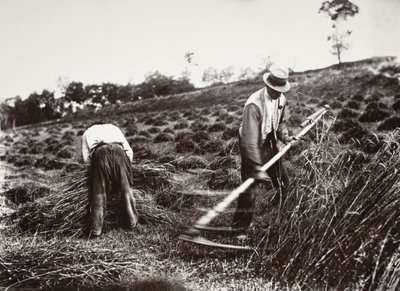 Ceifeiros, Somme de Eugène Atget