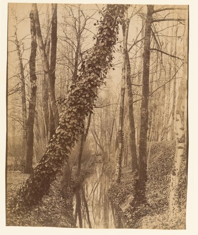 A Bièvre, Boulevard d