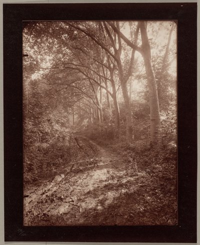 Parque de Sceaux de Eugène Atget