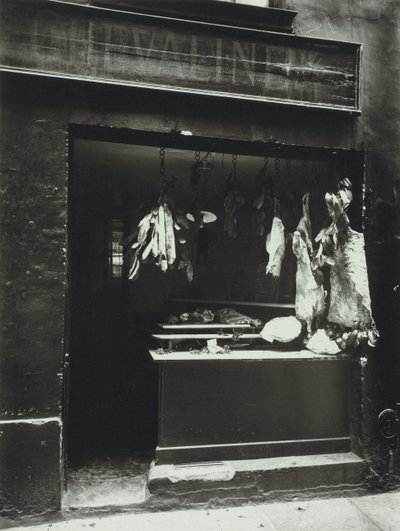 Sem título (impressão de gelatina de prata) de Eugène Atget