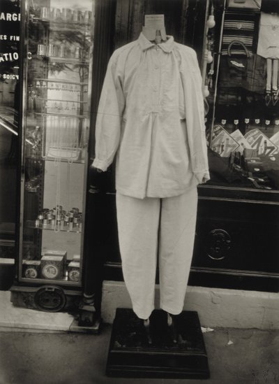 Sem título (impressão de gelatina de prata) de Eugène Atget