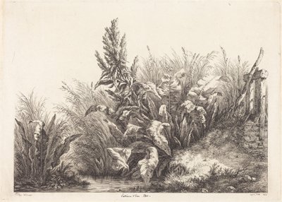  de Eugene Bléry