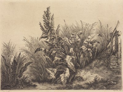  de Eugene Bléry