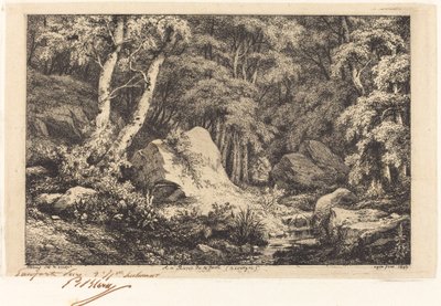 Na ravina da falha, Auvergne (The Ravine at Auvergne) de Eugene Bléry