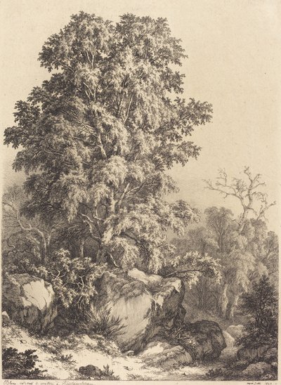 Bosque de Faias de Eugene Bléry