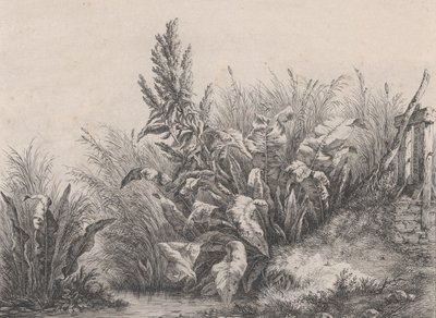 Grande Doca de Água, 1840. de Eugene Bléry