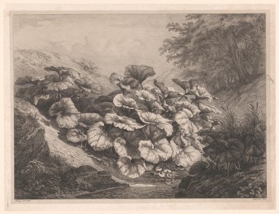 Groot hoefblad Os Grandes Coltsfoots Vier grote plant soorten (título da série) As Quatro Grandes Plantas (título da série) de Eugene Bléry