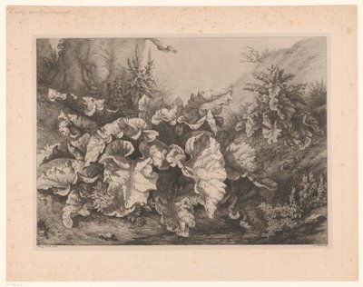 Bardana grande na água A Grande Bardane Quatro principais espécies de plantas (título da série) Les quatre grandes plantas (título da série) de Eugene Bléry