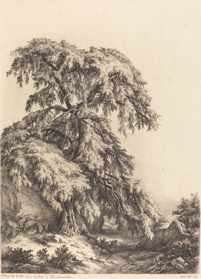 Árvore de zimbro de Eugene Bléry