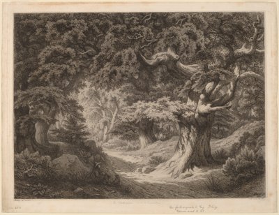 Le Charlemagne (floresta de Fountainbleau) de Eugene Bléry