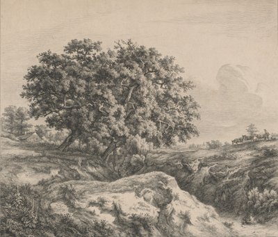 Floresta. de Eugene Bléry