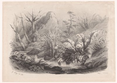 Oeverplanten bij een beek
Planten diversificado (título da série)
Diversos grupos de plantas desenhados sobre a natureza e litografados (título da série) de Eugene Bléry