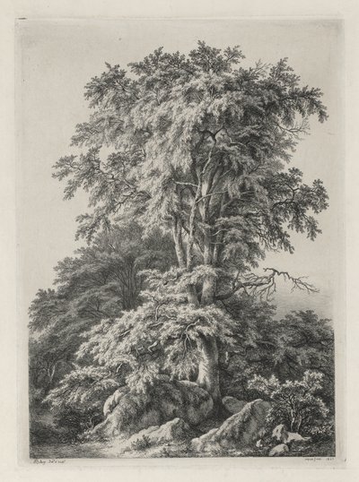 Estudos desenhados e gravados após a natureza: The Beach, Fontainbleau ..., 1840. de Eugene Bléry