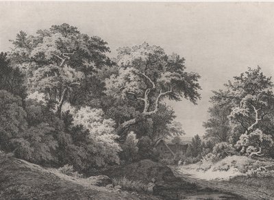 The Edge of the Woods, perto de Rambouillet, 1860. de Eugene Bléry