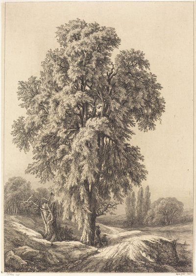 Floresta. de Eugene Bléry